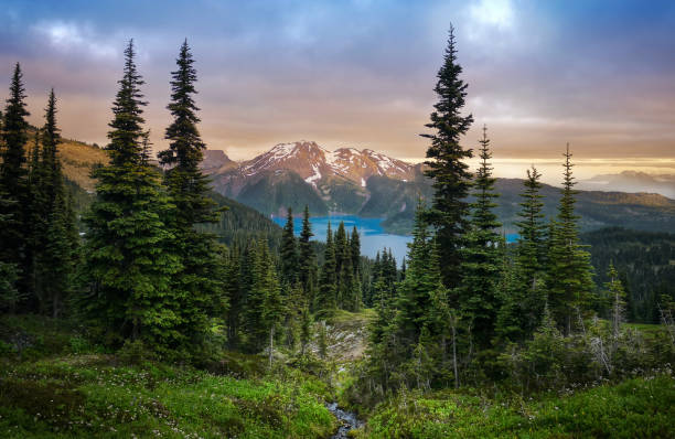 Turquoise lake in the Canadian Rockies